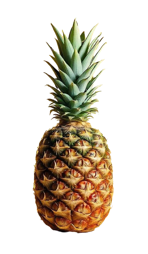 piña vinagre pinegar